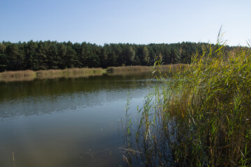 Krajobraz wokół Zalewu Sulejowskiego