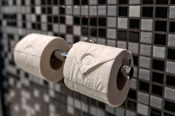 Neatly arranged toilet paper rolls on a chrome holder against a tiled bathroom wall