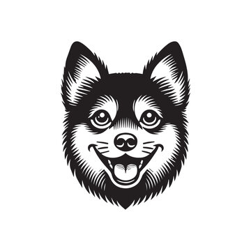 "Swedish Vallhund" Images – Browse 231 Stock Photos, Vectors, and Video