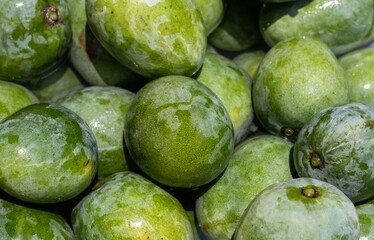 Closeup of Raw and Half Ripe Mango Heap in Horizontal Orientation