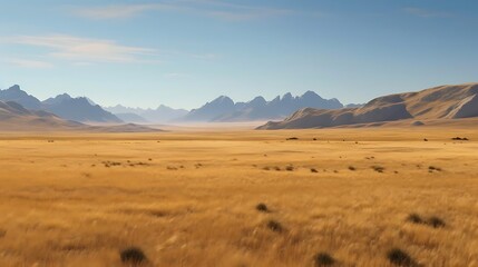 A vast golden landscape with distant mountains under a clear blue sky.