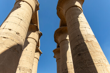 The majestic papiriform columns that adorn the Temple of Luxor in ancient Thebes, Egypt. These...