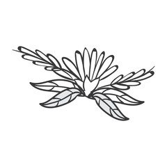 hand drawn wedding decorative elements.  floral and plant elements. Vector illustration