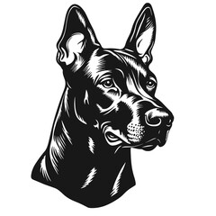 Doberman Pinscher Dog as Logo Vector Illustration. T-shirt print or Tattoo Template