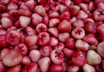Pile of fresh water guava or jambu air fruits isolated on horizontal ratio full frame background.