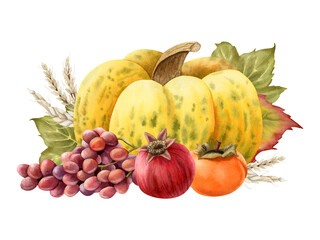 Ripe fall vegetables and fruits watercolor isolated illustration. Yellow green pumpkin with wheat, grapes berries, pomegranate and persimmon. Autumn harvest design with plants for Thanksgiving