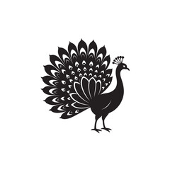 Silhouette peacock with asymmetrical plumage