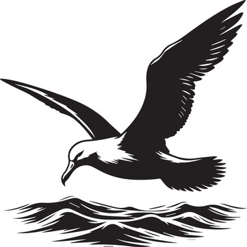 recommend clip art: black albatross silhouette vector, albatross logo Vector.