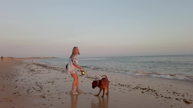 A lady walking her boxer dog on the sandy beach of the ocean in Portugal.