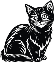 Obraz premium black cat