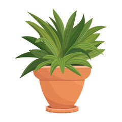House plants in pots. Element for design house, room or office. Isolated element on white background.