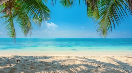 Obraz premium Tropical beach with ocean view clear sky and empty space for text