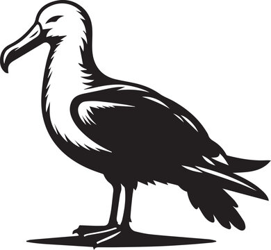recommend clip art: black albatross silhouette vector, albatross logo Vector.