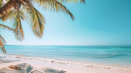 Fototapeta premium Tropical beach with ocean view clear sky and empty space for text