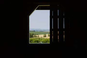 View of a landscape through a dark window frame, revealing green fields