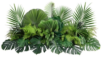 Tropical Foliage Plant Arrangement on White Background