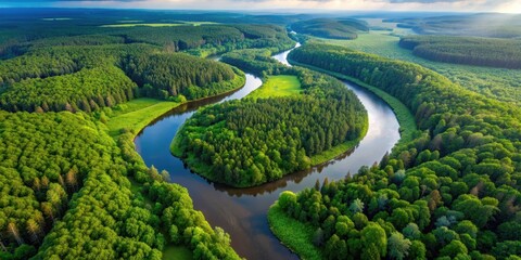 Drone aerial view of a winding river through lush forests , nature, landscape, aerial, drone, river, trees, green