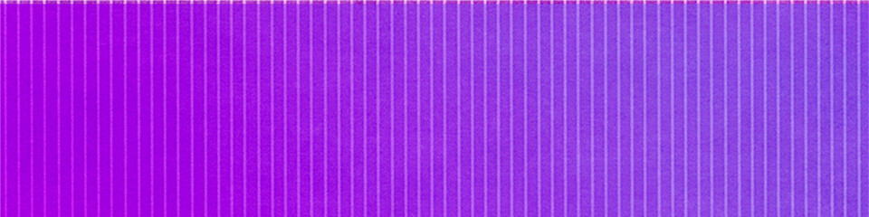 Purple textured panorama background with lines, Suitable for Advertisements, Posters, Sale, Banners, Anniversary, Party, Events, Ads and various design works