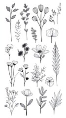 A collection of 18 hand-drawn floral illustrations in black and white.
