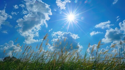 Obraz premium Sunny skies and vibrant sun