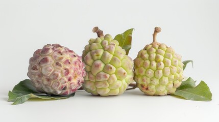 Obraz premium Custard apple on white backdrop