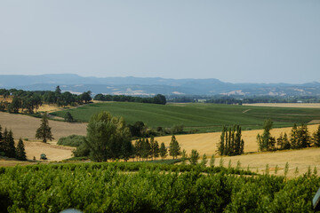 Expansive view of rolling farmland with green and golden fields, trees, and distant mountains