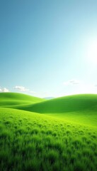 Obraz premium Panoramic Green Grass Scenery Background