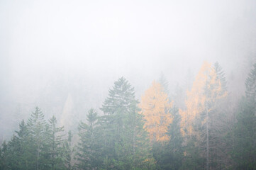 Autumn of fog and mist on the lake of Cave del Predil