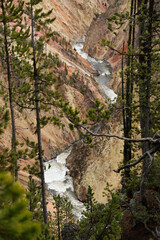 Grand Canyon in Yellowstone National Park