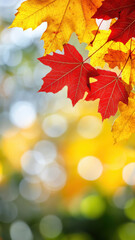 Fototapeta premium Autumn template with red maple leaves and sunlight