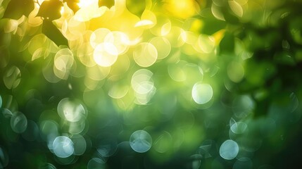 Obraz premium Nature s light bokeh as an abstract backdrop