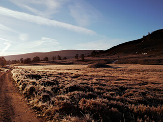 Fototapeta premium Winter sunrise in the Scottish Highlands