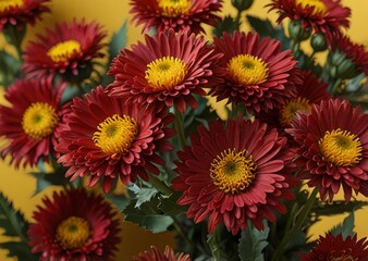 red asters on a yellow background