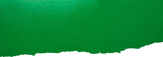 Green ripped paper torn edges strips isolated on white background