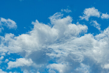 The image depicts a serene and expansive sky filled with a variety of fluffy, white clouds against a vibrant blue backdrop.