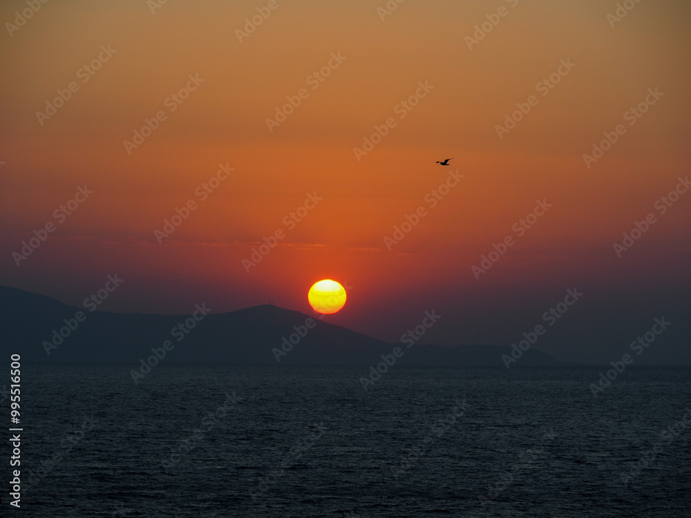 Wall mural sunset over the sea