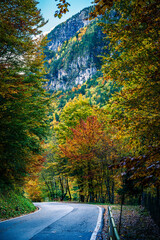 Autumn in Val Raccolana. Between peaks, lakes and streams. Julian Alps and Fontanone di Goriuda
