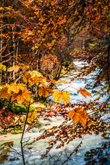 Autumn in Val Raccolana. Between peaks, lakes and streams. Julian Alps