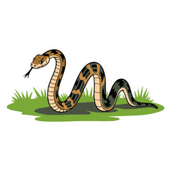 Fototapeta premium A vector cartoon of a snake.