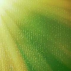 Sun glare pattern green square background, Suitable for Advertisements, Posters, Sale, Banners, Anniversary, Party, Events, Ads and various design works