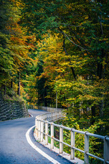 Autumn in Val Raccolana. Between peaks, lakes and streams. Julian Alps