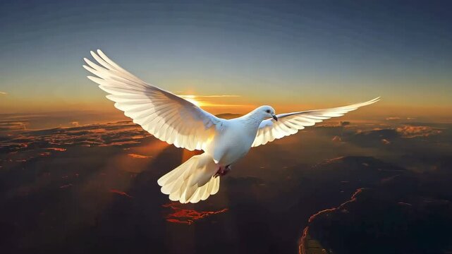 A white dove flying in the sky. Concept of peace and freedom. The bird's wingspan and the vastness of the sky create a feeling of openness and possibility. The image is a reminder of the beauty