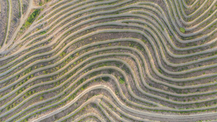 Aerial views of vineyards of Priorat, in wine region of province of Tarragona. Catalonia