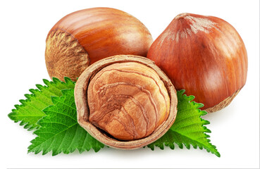 Hazelnuts, hazelnut kernel and green leaves on white background. Full depth of field. Clipping path.