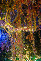 Obraz premium Enchanting illuminated orbs adorn trees, creating a magical night scene. 