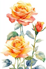Watercolor Painting of a Yellow Rose Bouquet