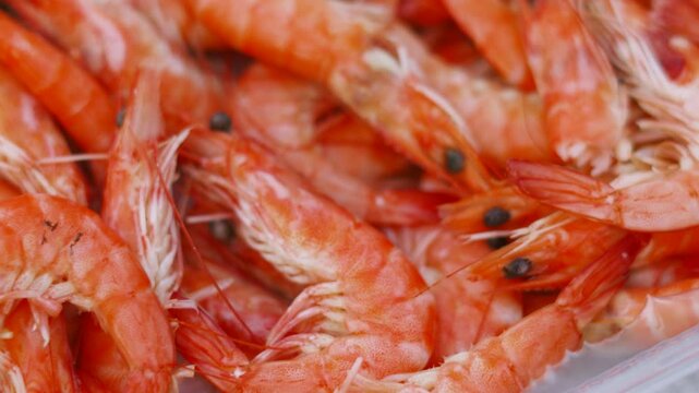 Close Up of Fresh Delicious Seafood Crevettes Prawn Shrimps Lying in Bowl Ready to be Peeled and Eaten in Slow Motion 4K