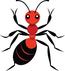 Ant vector illustration with  white background