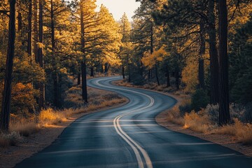Fototapeta premium Winding road through a forest. This photo can be used for projects about travel, nature, and adventure.