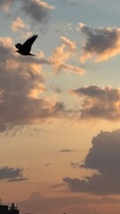 Fototapeta premium sunset in the sky